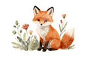 Fox Sticker